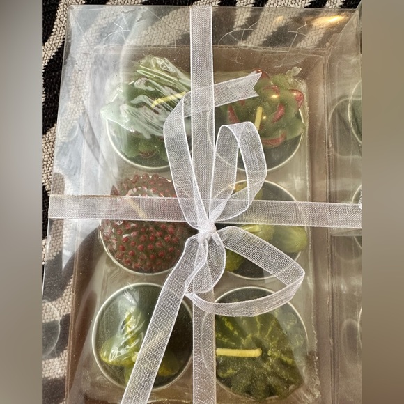 NWT - Succulent candles - Picture 2 of 4